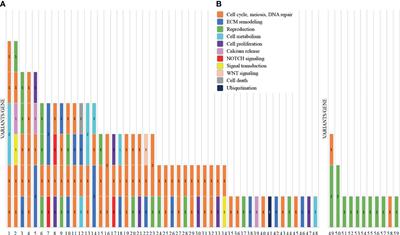 Targeted Next-Generation Sequencing Indicates a Frequent Oligogenic Involvement in Primary Ovarian Insufficiency Onset